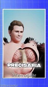 What if humans grew wings? 🤔 #curiosities #curiosity #facts #didyouknow