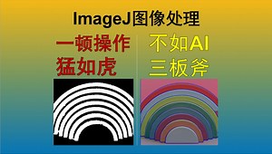 『超实用』ImageJ图像处理 - AI大模型将简化图像预处理（厚度案例分析)