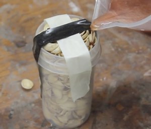 82K views · 209 reactions | Do not waste anything - Pistachio shells! | 5-Minute Crafts Family | Facebook