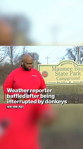 Hay there, neigh-bor. | New York Post