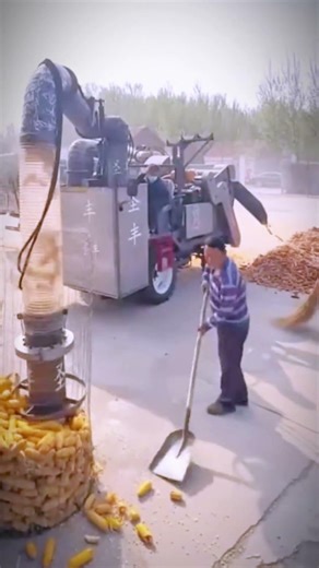 Corn Processing Machines in a Modern Way