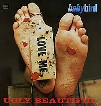 Babybird - Ugly Beautiful