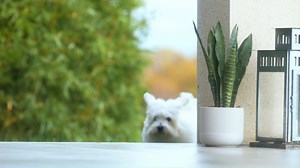 23K views · 104 reactions | Pentru toate micile accidente de zi cu zi, echipează-te cu optimism și cu aspiratorul Clean and Steam Multi. Acesta aspiră și igienizează simultan, iar tu ești pregătit pentru neprevăzut!  https://www.rowenta.ro/clean-steam-multi | Rowenta Romania | Facebook