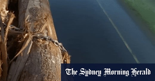 Log trucks, tanning beds and pool drains: The most outrageous Final Destination deaths