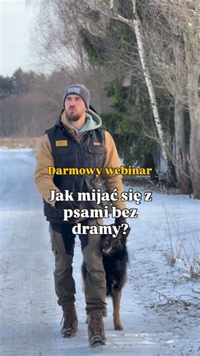 Ośrodek Szkolenia Psów // Dog Training Center on Instagram: "Skomentuj DRAMA Gwarantujemy, że można bez takiej dramy 🤡😅 Kaczmarek K9 ~ with love for dogs and passion for training ~ #webinar #darmowywebinar #trenerpsów #spacerzpsem"