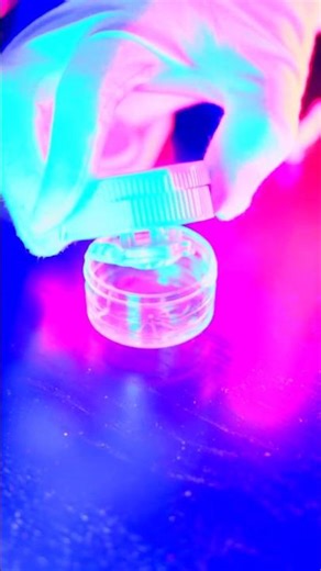 How to Prepare Contact Lens for Cleaning Safely 4K HDR #contactlenses #howtoclean