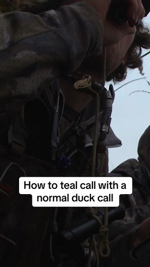 Teal calling when you dont have a teal call tutorial !! There are many days when I’m hunting and I don’t have a teal call on my lanyard and i get covered up in teal !! Try this and you will call teal no matter what! #waterfowlcallingtutorial #duckhunting #fyp #higdonoutdoorstv #powercalls