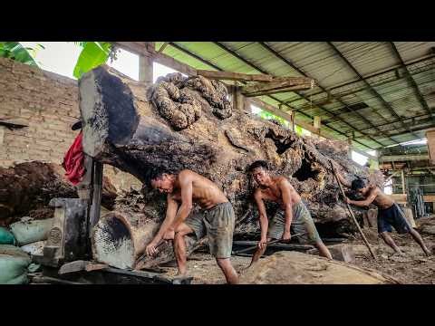 High Speed Sawmill vs Ultra Dense Hardwood