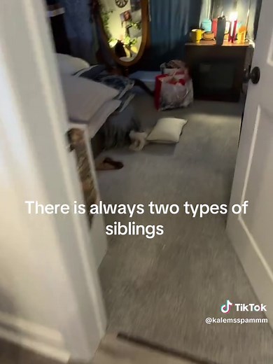 Two Types of Siblings: The Fun Dynamic Explained