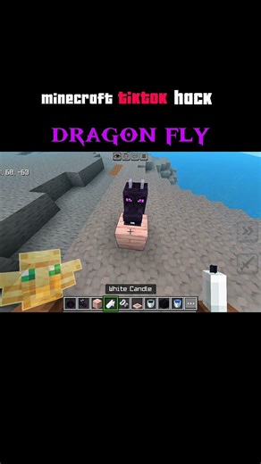 Dragon fly ।। minecraft tiktok hack @tissu_here #minecraft #gaming
