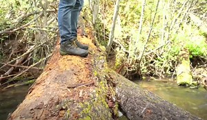 River Report: fishing Montana's mountain streams