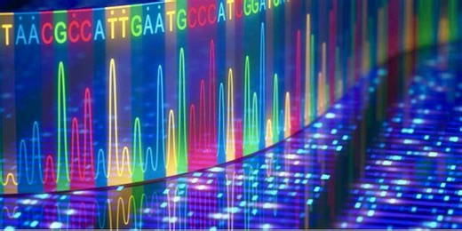 Erasing or replacing errors in a patient’s genetic code can treat and cure some genetic diseases