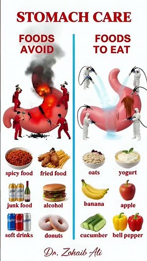 Stomach Care Foods.