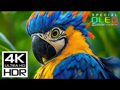Ultimate Relaxing Sleep Music in 4K HDR 120fps | Peaceful Nature 4K Video for Stress Relief