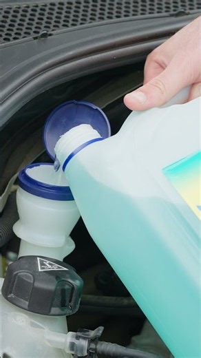 🦟 Bug stains? Not anymore.