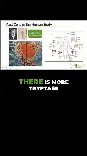 Mast Cell Heterogeneity: Organ Specific Treatment Explained