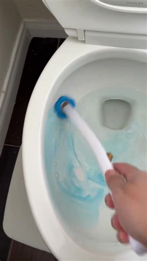 1.9K views |  The Last Toilet Brush You’ll Ever Buy! Tired of...
