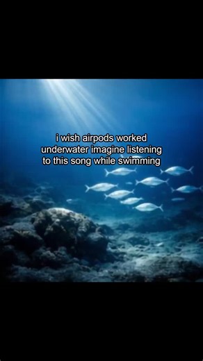 Dominant Dope on Instagram: "Song: TRUE LUST - WonderBag"