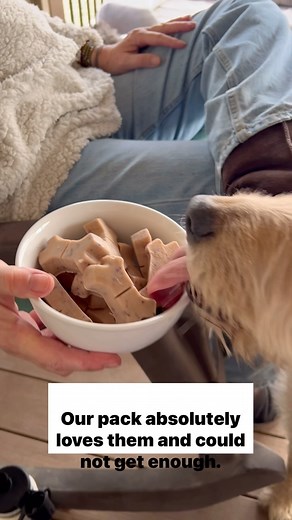 Tasty DIY treats for dogs! 1/3 cup Peanut Butter 1/3 cup blueberries 1/3 cup yogurt 1/3 cup apple sauce Blend well (Add water as needed so you can pour into mold) Freeze for a few hours and use treats to practice commands such as “leave it” and “take it nice!” Blueberries have antioxidants, apple sauce has fiber and vitamin C, Yogurt has protein, calcium, probiotics and us good for digestion, and peanut butter is good source of healthy fats, protein, Vitamin B and E. Our pack absolutely loved th