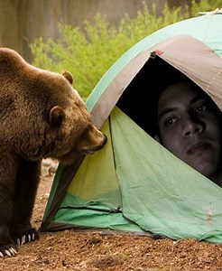 166K views · 612 reactions | 20 Scary Incidents Animals Suddenly Attacking Other Animals Caught On Camera vs礪 | Best Video | Facebook