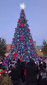 2K views · 135 reactions | The Christmas season has officially begun at Silverton. #SilvertonGreetings | Silverton Casino | Facebook