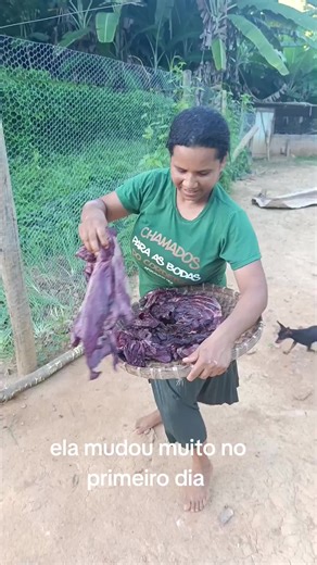 Como fazer carne seca perfeita: dicas e resultados