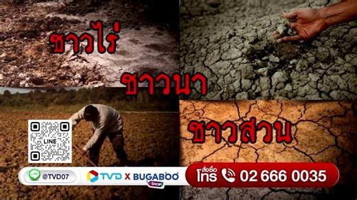 #ดินเน่า ตัวช่วยชาวสวน 🧑‍🌾 เปลี่ยนดินเสีย ดินกระด้าง แก้ปัญหาเชื้อราจากดิน ด้วย "ดินเน่า" . 🌱กู้ชีพดินด้วยสารอินทรีย์จากธรรมชาติ 🌱ปรับความเป็นกรด-ด่างของดินให้สมดุล 🌱เสริมการเจริญเติบโตของพืชผล 🌱ลดการใช้ปุ๋ยเคมี 🌱ใช้ได้ผลดีกับพืชทุกชนิด . 📌โปรโมชันพิเศษ ซื้อดินเน่า 2 ขวด แถมฟรีอีก 1 ขวด จากราคาปกติ 2,270 บาท พิเศษเพียง 999 บาทเท่านั้น ‼️ . พิเศษ 50 ท่านแรก รับฟรี #สิ้นคิด 🌿อะมิโนผงเกล็ด บำรุงใบ บำรุงราก 1 ซอง สั่งซื้อเลยตอนนี้ที่ BUGABOO SHOP 👉🏼คลิกเลย https://shop.bugaboo.tv/shop/32 