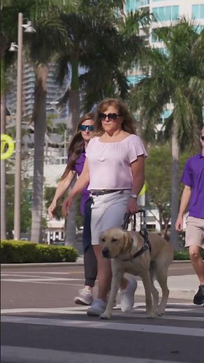 Celebrating International Guide Dog Day