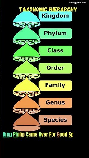 Taxonomic Hierarchy In Biological Classification | Easy to remember