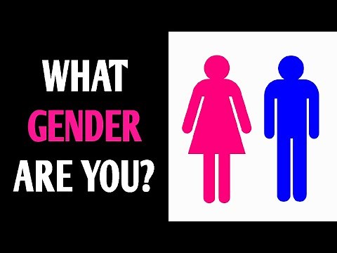 WHAT GENDER ARE YOU? Personality Test Quiz - 1 Million Tests
