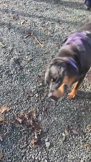 2.1K views · 92 reactions | Timmy & I went away for a weekend break...