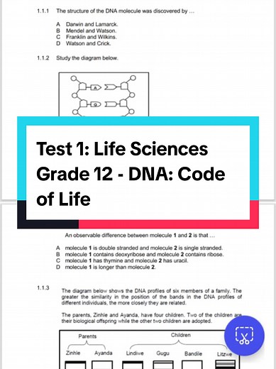 Grade 12 Life Sciences DNA Code of Life Test Overview