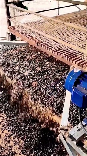 ஆடு வளர்ப்பில் நவீன தொழில்நுட்பம் 🐑🚜📈 #sheep #farming #technology #shorts