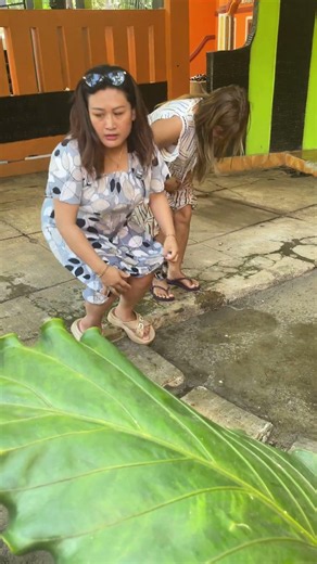 Watering the patio to keep it cool