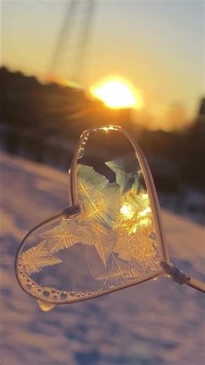 Ice crystals forming on a soap film at sunset #shorts