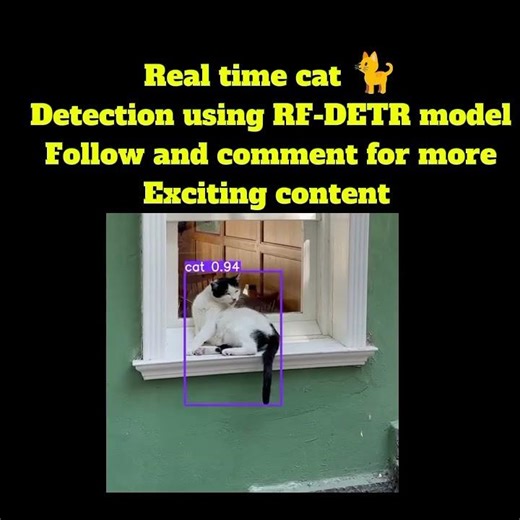 Real time cat 🐈 detection using RF-DETR model#computervision #objectdetection #viral