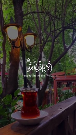 Beautiful Quran Words to Start Your Day