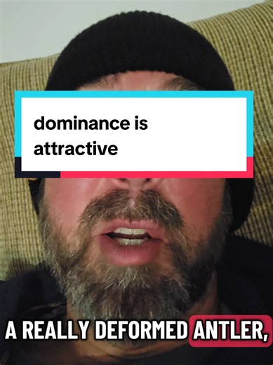 dominance signals capability. mating looks for dominant traits. #robsmodel