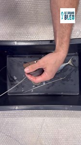 312K views · 2.2K reactions | Exemple de montage d’une mentonnière sur un maquereau  | LE GRAND BLEU NC | Facebook