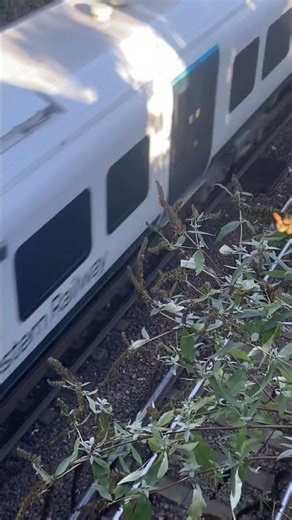 SWR class 450 overhead view