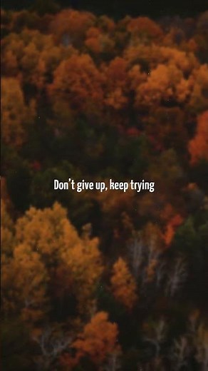 Sia - Little Wing | Lyrics