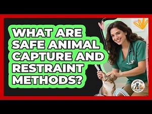 What Are Safe Animal Capture And Restraint Methods?