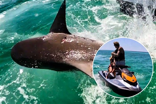 ‘Aggressive f—ing’ shark repeatedly rams jet ski in Florida
