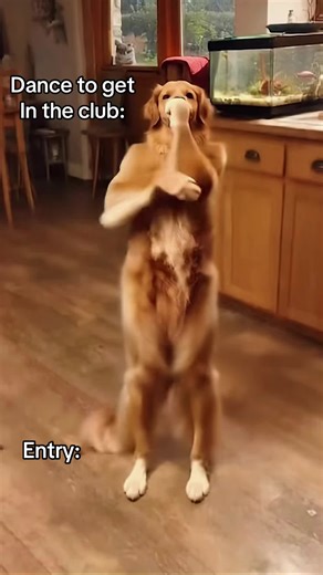 Dances to Enter the Club: Your Ultimate Guide