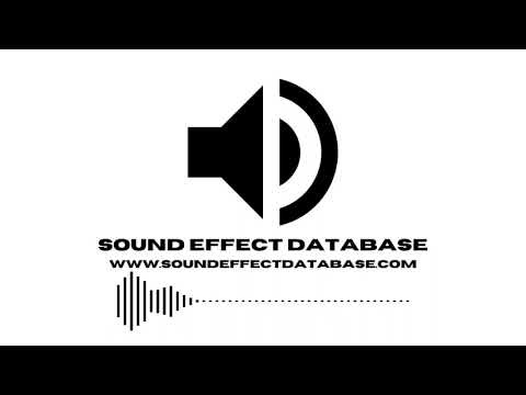 Door Airlock Sound Effect