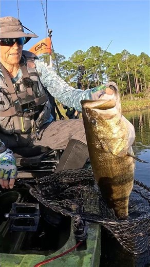 Work Hard - Get Rewarded - 10/8/25