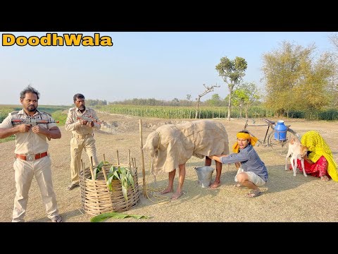 Doodh Wala Very Special New Funny Comedy Video || By Bindas Fun Nonstop