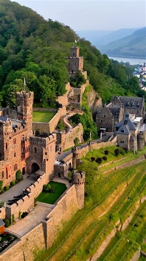 Es ist mehr als nur eine Aussicht. 🏞️ Es ist ein Moment zum Innehalten – wo die Geschichte der Burg 🏰 auf das Glitzern des Rheins trifft. Wo goldene Sonnenstrahlen alte Mauern küssen. Wo dein Blick schweift und dein Herz still wird. Die Aussicht von Burg Reichenstein: Ein Ort für Herzensblicke. Für Zeitlosigkeit. Für dich. Wer hier steht, versteht, warum der Rhein einst als „Romantischer Strom“ verehrt wurde – und warum die Burg Reichenstein nicht nur eine Sehenswürdigkeit, sondern ein Ort für