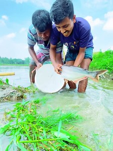 45 reactions · 40 shares | big fish | SA fish world | Facebook