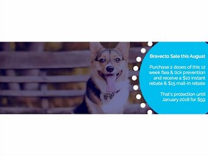 August Special on Bravecto Flea & Tick Prevention